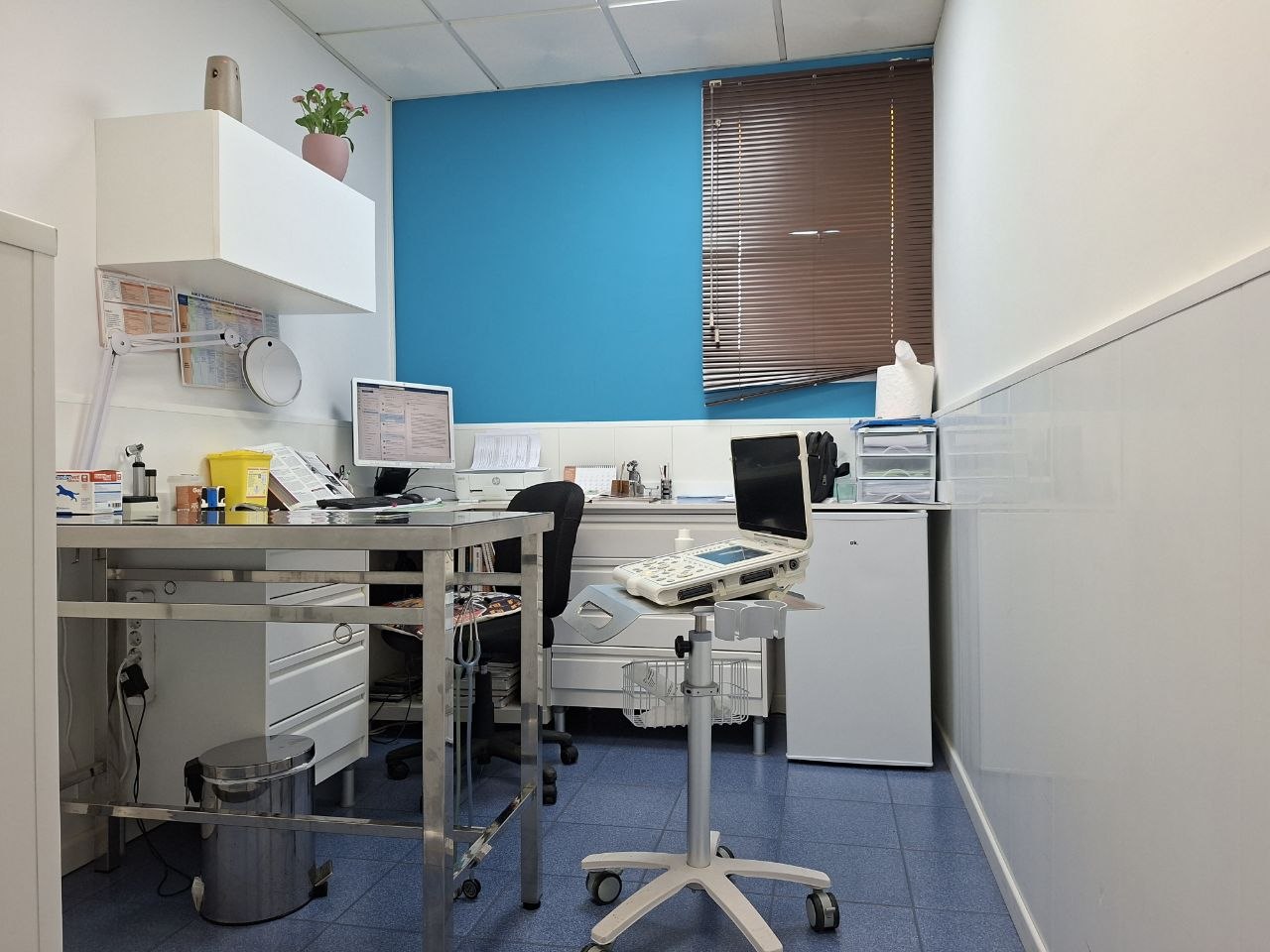 Sala de consulta equipada con ecógrafo en Clínica Veterinaria La Urba