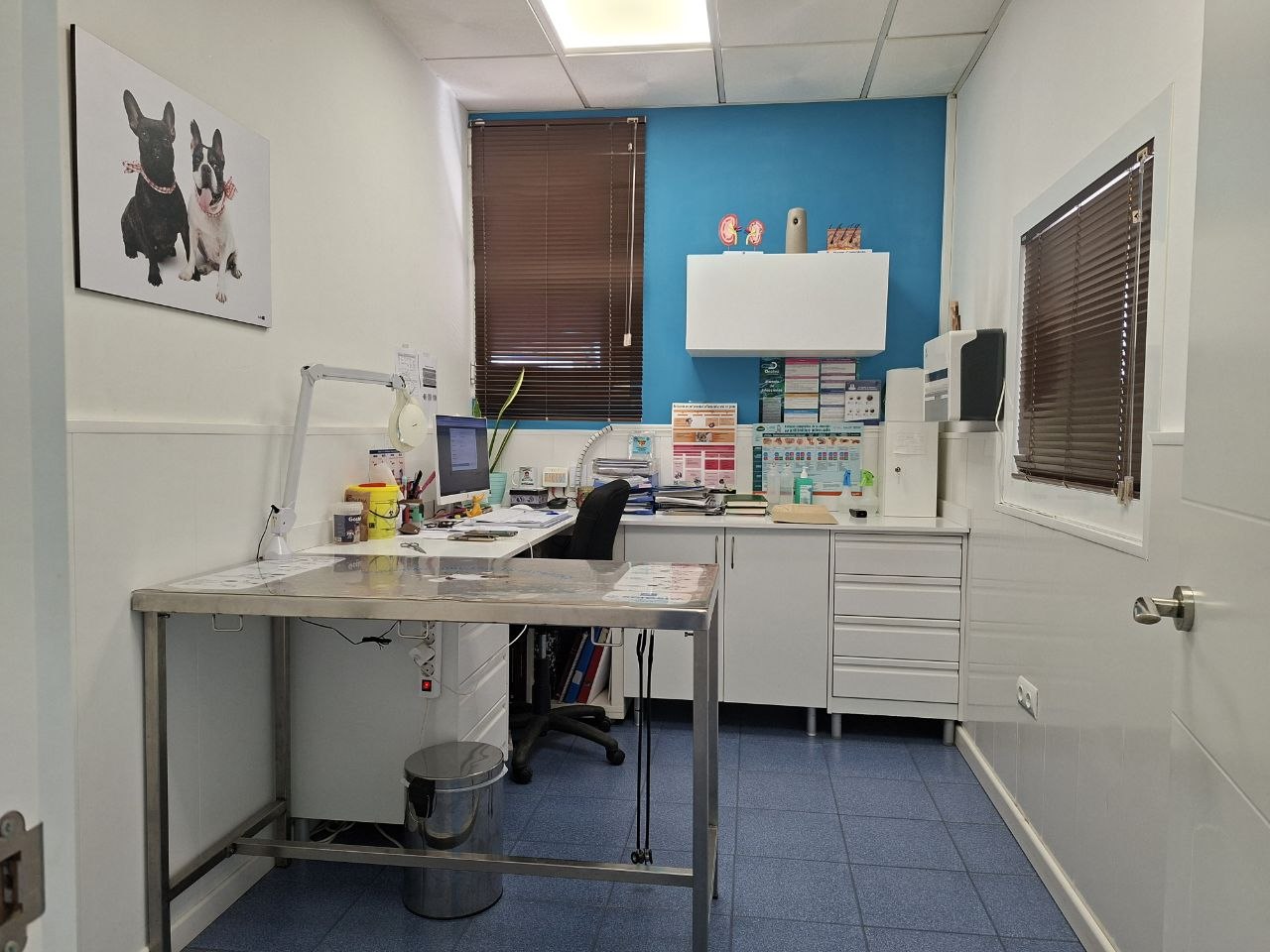 Segunda sala de consulta de Clínica Veterinaria La Urba