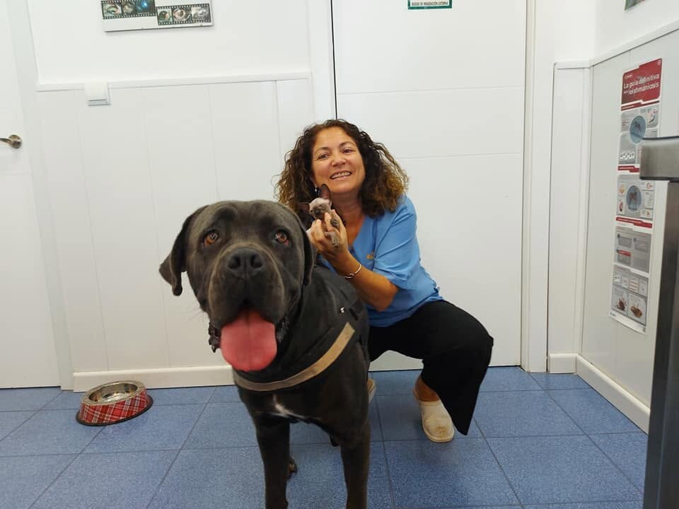 Esther Lechuga López atendiendo a un perro y un gato en Clínica Veterinaria La Urba