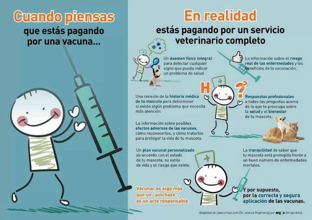vacuna cachorros